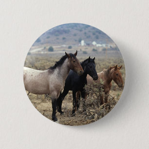 Wild Mustang Horses 5 Button