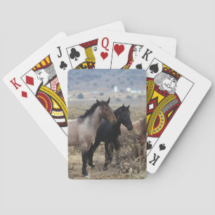 Wild Mustang Horses 5 Poker Cards