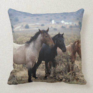 Wild Mustang Horses 5 Throw Pillow