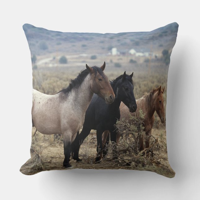 Wild Mustang Horses 5 Throw Pillow (Front)