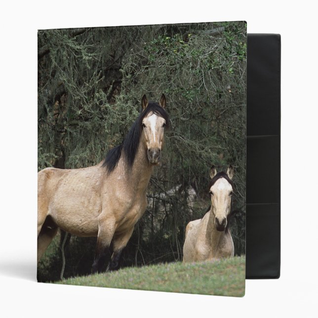 Wild Mustang Horses 6 Binder (Front/Inside)