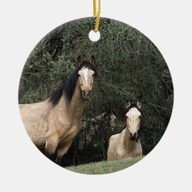 Wild Mustang Horses 6 Ceramic Ornament (Front)