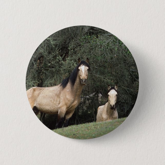 Wild Mustang Horses 6 Pinback Button (Front)