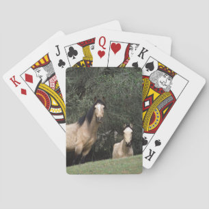 Wild Mustang Horses 6 Poker Cards
