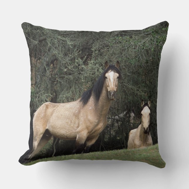 Wild Mustang Horses 6 Throw Pillow (Front)