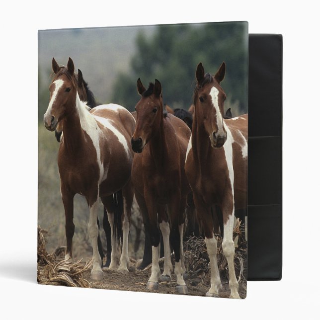 Wild Mustang Horses 7 3 Ring Binder (Front/Inside)