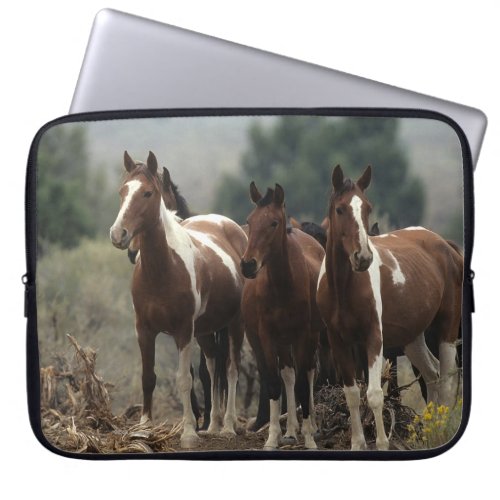Wild Mustang Horses 7 Laptop Sleeve