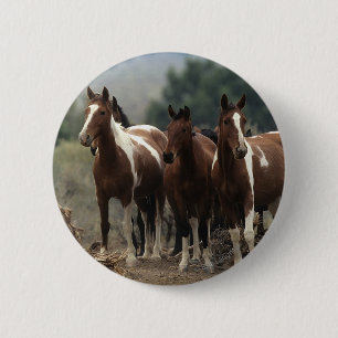 Wild Mustang Horses 7 Pinback Button