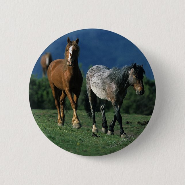 Wild Mustang Horses Button (Front)