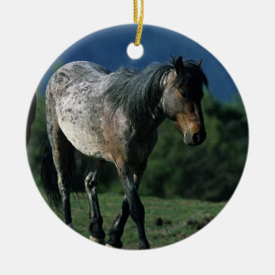 Wild Mustang Horses Ceramic Ornament