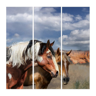 Wild Mustang Horses in a Western Setting. Triptych