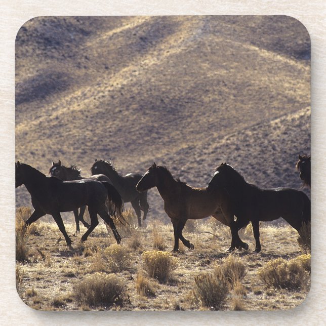 Wild Mustang Horses in the Desert 1 Beverage Coaster (Front)