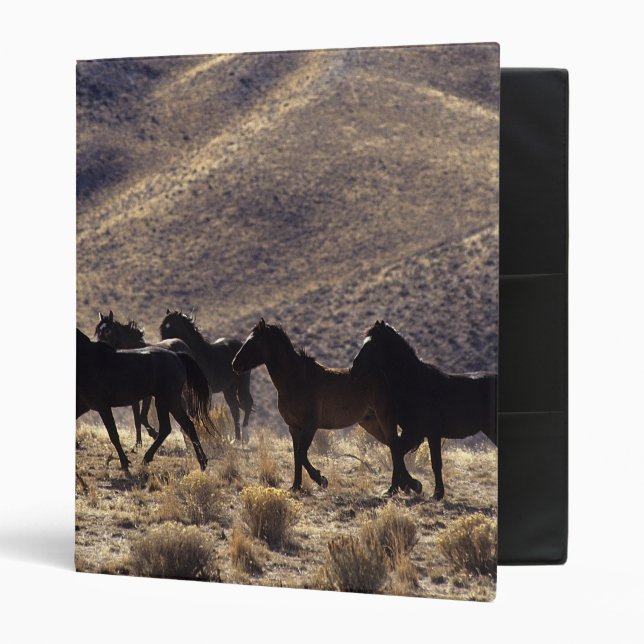 Wild Mustang Horses in the Desert 1 Binder (Front/Inside)