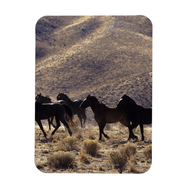Wild Mustang Horses in the Desert 1 Magnet (Vertical)