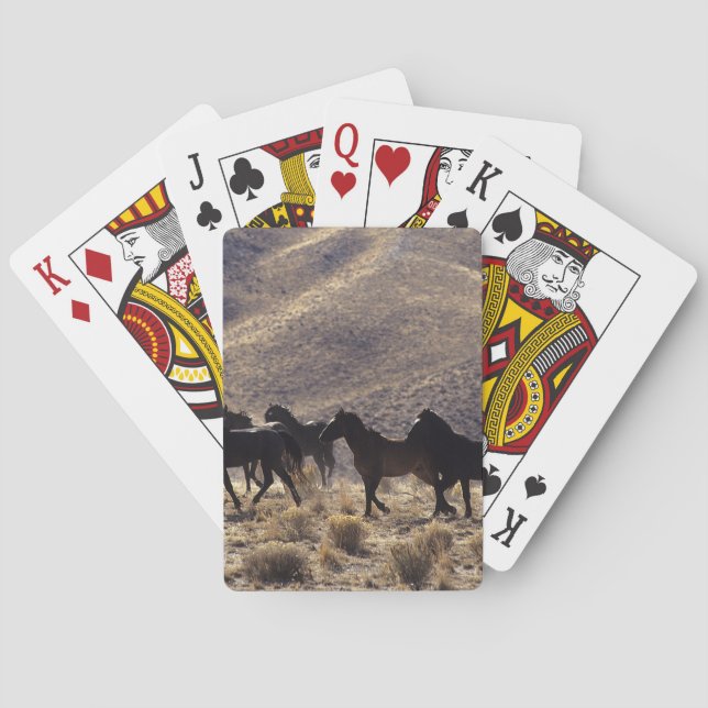 Wild Mustang Horses in the Desert 1 Poker Cards (Back)