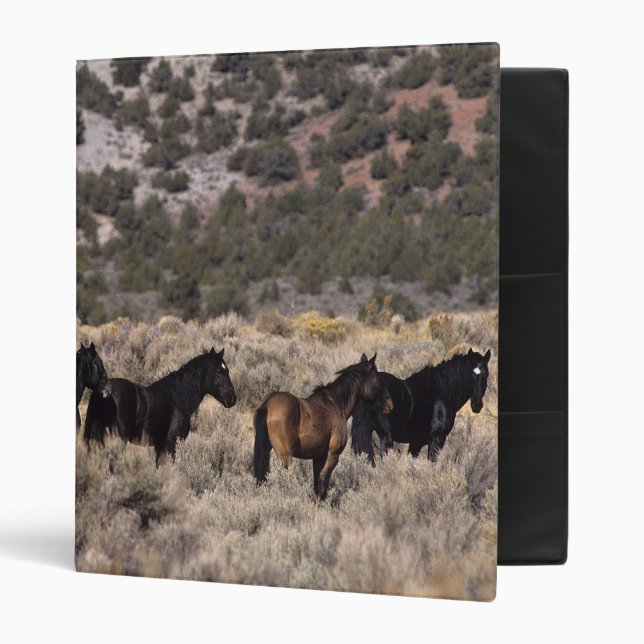 Wild Mustang Horses in the Desert 2 Binder (Front/Inside)