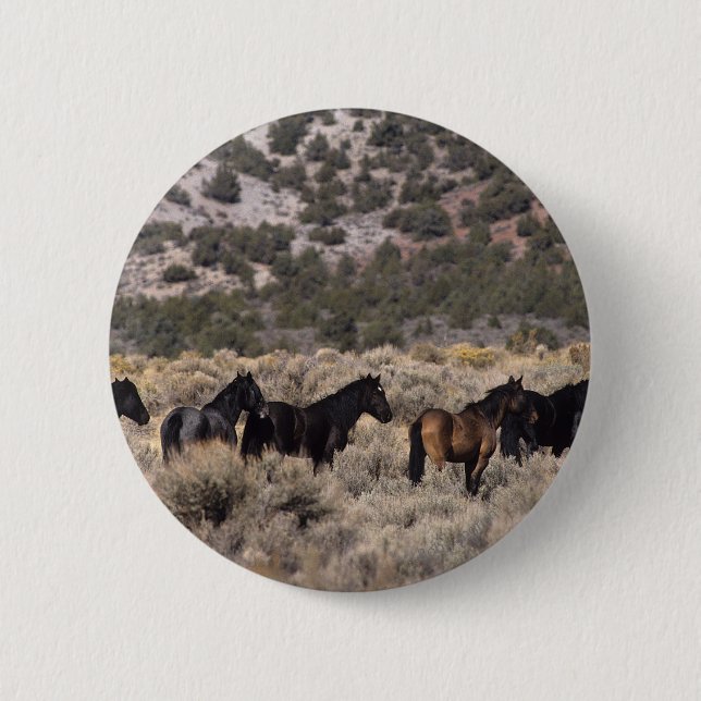 Wild Mustang Horses in the Desert 2 Button (Front)