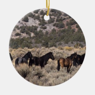 Wild Mustang Horses in the Desert 2 Ceramic Ornament