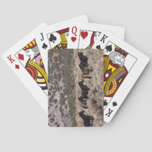 Wild Mustang Horses in the Desert 2 Poker Cards