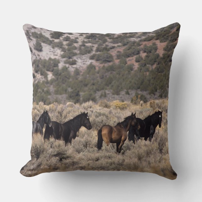 Wild Mustang Horses in the Desert 2 Throw Pillow (Front)