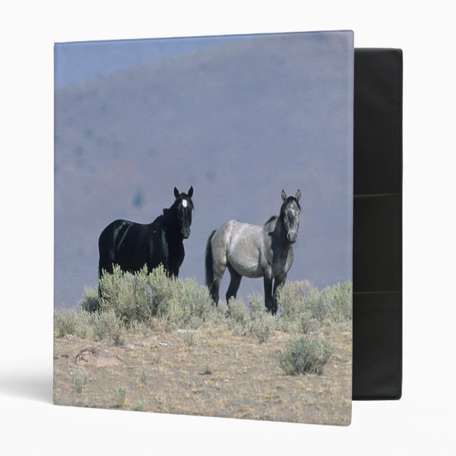Wild Mustang Horses in the Desert 3 Binder (Front/Inside)