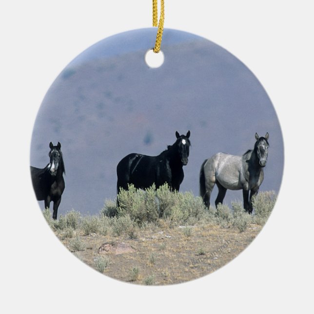Wild Mustang Horses in the Desert 3 Ceramic Ornament (Front)