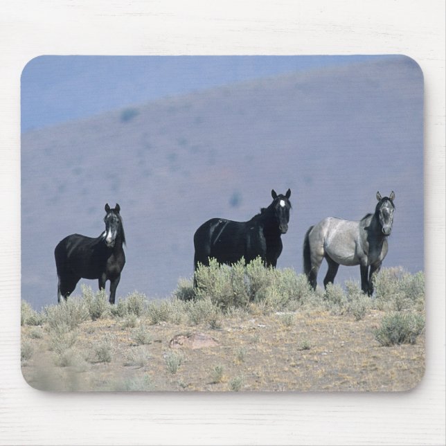 Wild Mustang Horses in the Desert 3 Mouse Pad (Front)