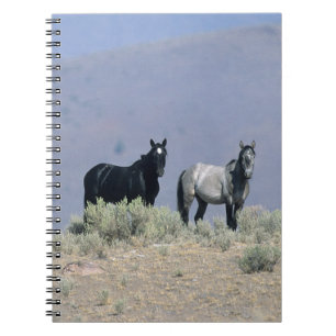 Wild Mustang Horses in the Desert 3 Notebook