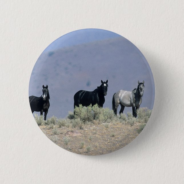Wild Mustang Horses in the Desert 3 Pinback Button (Front)