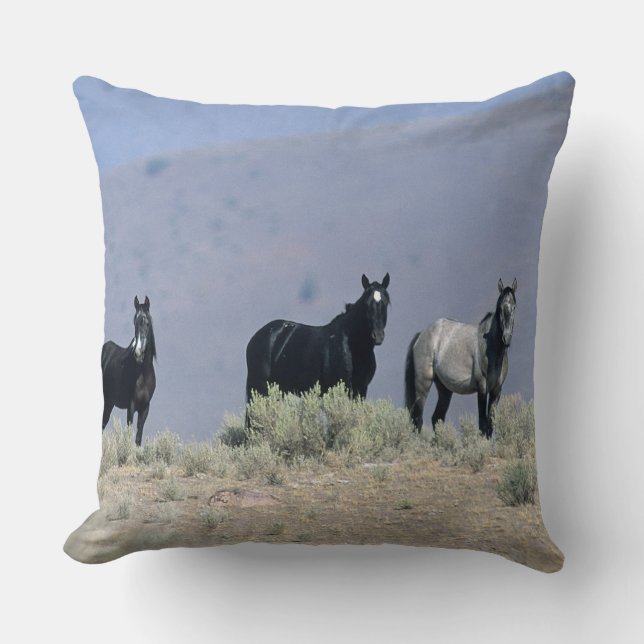 Wild Mustang Horses in the Desert 3 Throw Pillow (Front)