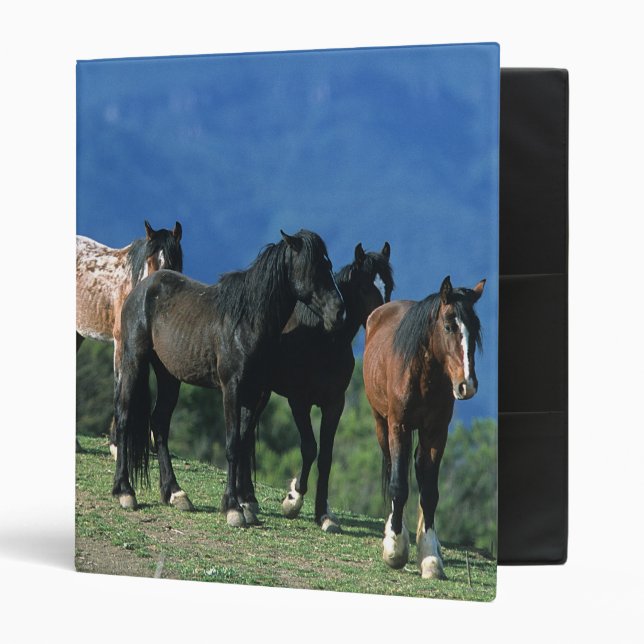 Wild Mustang Horses in the Mountains 3 Ring Binder (Front/Inside)