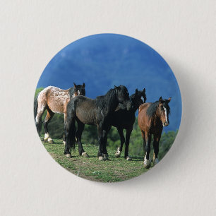 Wild Mustang Horses in the Mountains Button