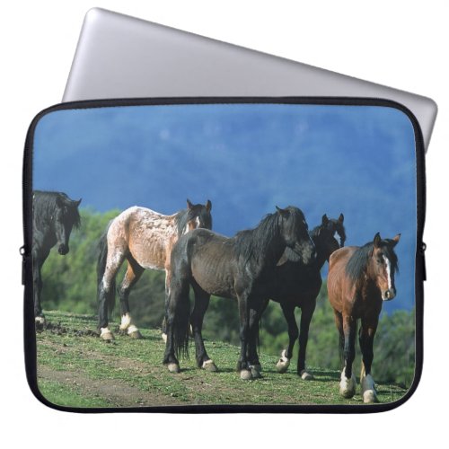 Wild Mustang Horses in the Mountains Laptop Sleeve