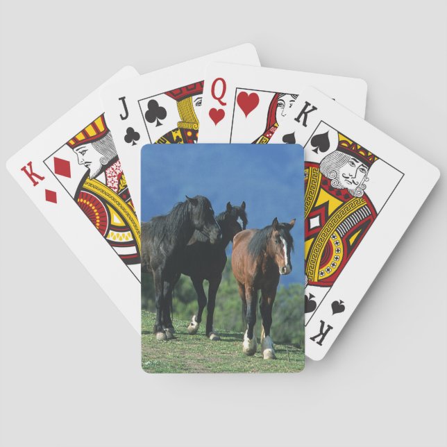 Wild Mustang Horses in the Mountains Poker Cards (Back)