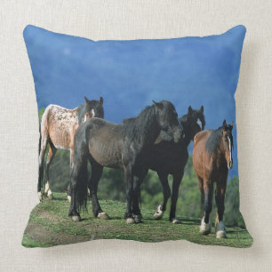 Wild Mustang Horses in the Mountains Throw Pillow