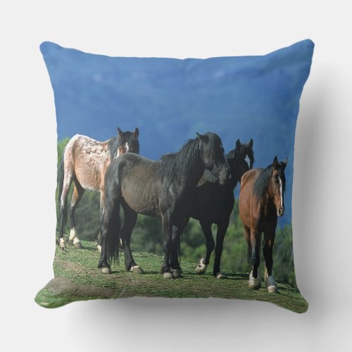 Wild Mustang Horses in the Mountains Throw Pillow