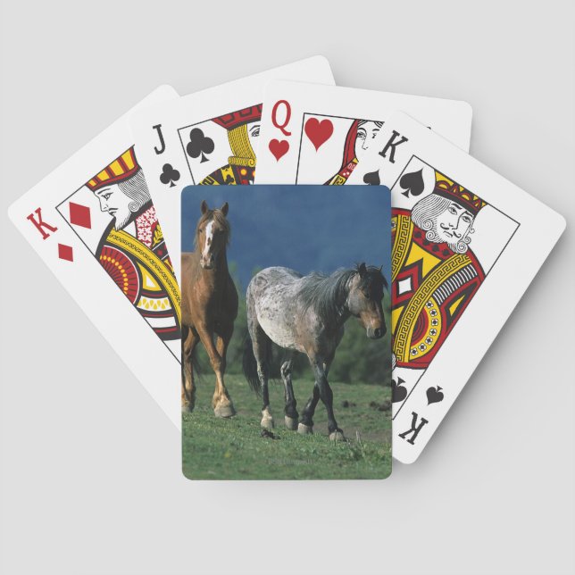 Wild Mustang Horses Poker Cards (Back)