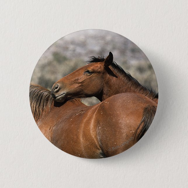 Wild Mustang Horses Touching Button (Front)