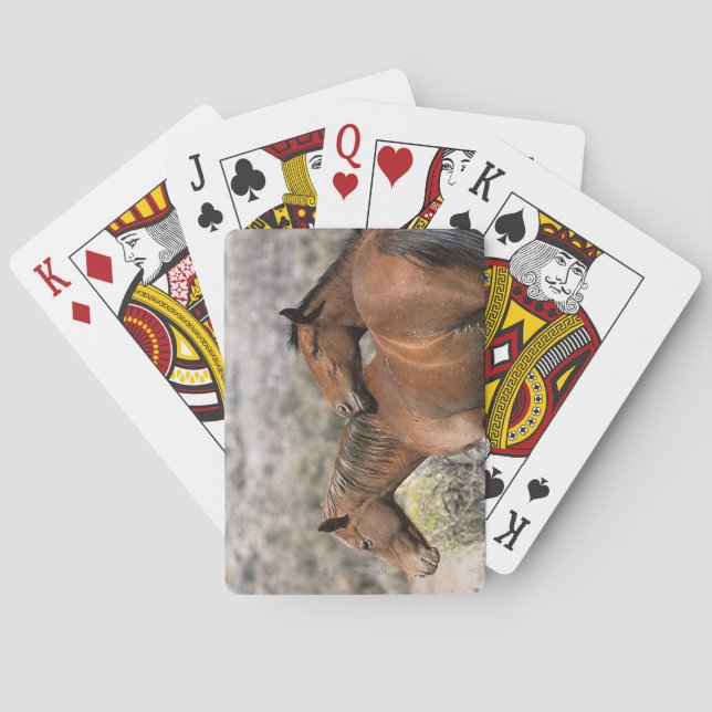 Wild Mustang Horses Touching Poker Cards (Back)
