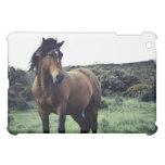 Wild Mustang iPad Case iPad Mini Case