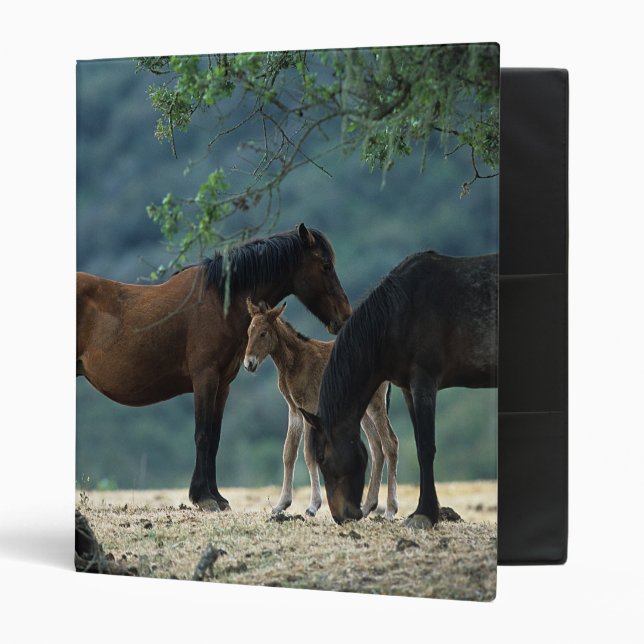 Wild Mustang Mare & Foal Binder (Front/Inside)