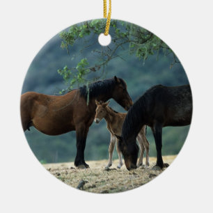 Wild Mustang Mare & Foal Ceramic Ornament