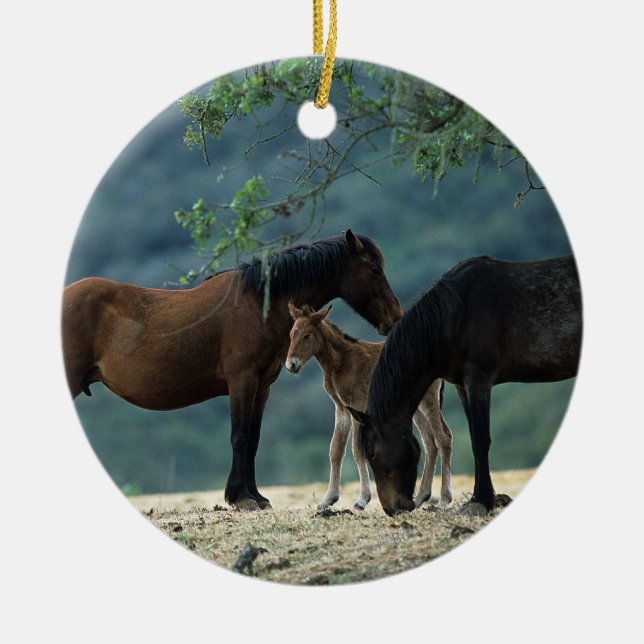 Wild Mustang Mare & Foal Ceramic Ornament (Front)