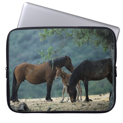 Wild Mustang Mare  Foal Laptop Sleeve