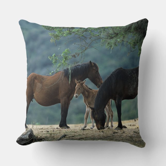 Wild Mustang Mare & Foal Throw Pillow (Front)