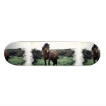 Wild Mustang Skateboard