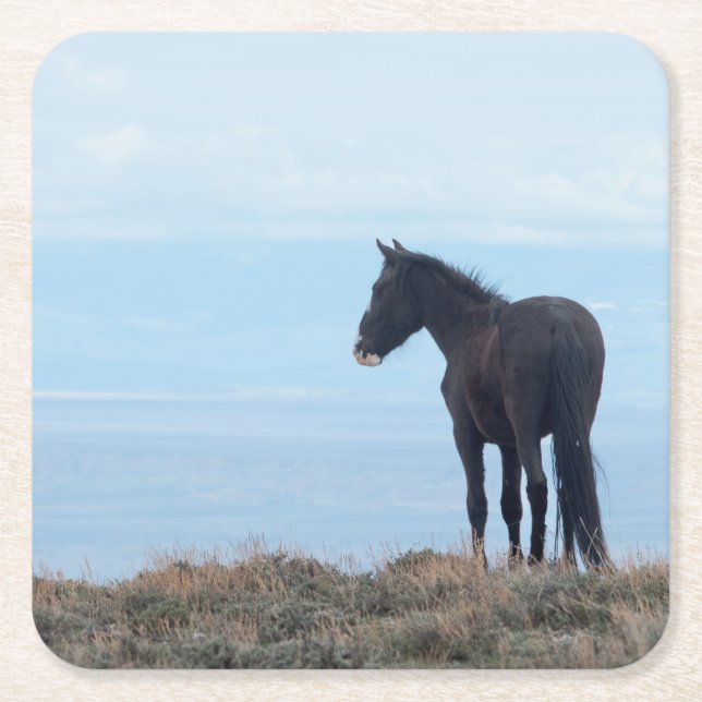 Wild Mustang Square Paper Coaster (Front)
