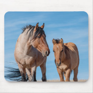 Wild Mustang Stallion and Wild Horse Foal Mouse Pad