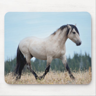 Wild Mustang Stallion Mouse Pad