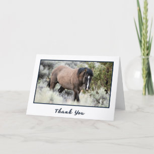 Wild Mustang Stallion Photo Thank You Card